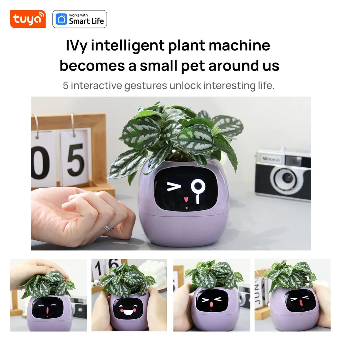 Ivy Smart Planter,Endless Fun Over 49 Rich Expressions,7 smart sensors