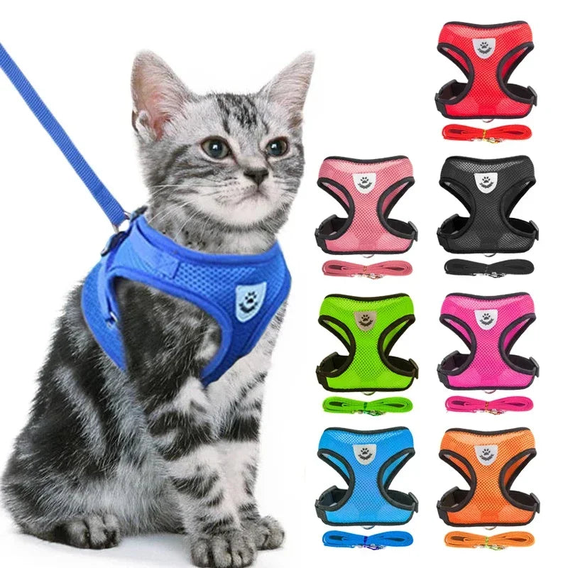 Gilet harnais pour chat pour la marche